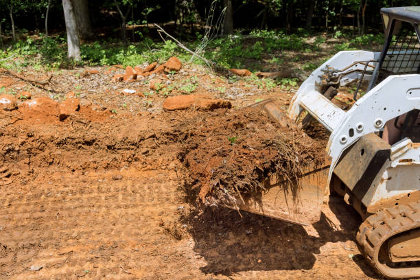 Tractor is leveling ground at forest during earthworks Tractor is leveling ground at forest during earthworks